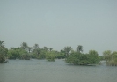 Flood Relief Activities August 2010