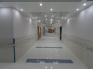 QIH Update April 2011