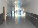 QIH Update April 2011
