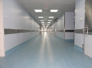 QIH Update April 2011