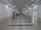 QIH Update April 2011