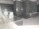 QIH Update April 2011