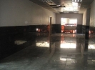QIH Update December 2010