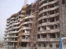 QIH Update February 2009
