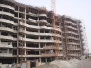QIH Update February 2009
