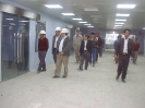 QIH Update January 2010