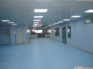 QIH Update January 2010