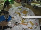 QIH Update July 2011