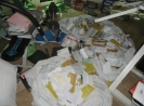 QIH Update July 2011