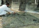 QIH Update July 2011