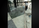 QIH Update July 2011
