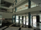 QIH Update July 2011