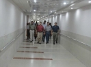 QIH Update July 2011
