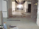  QIH Update June 2009
