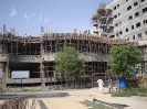  QIH Update June 2009