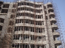 QIH Update March 2009