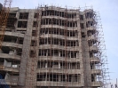QIH Update March 2009