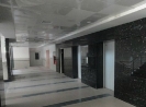 QIH Update March 2011