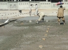 QIH Update March 2011