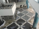 QIH Update March 2011