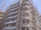  QIH Update May 2009