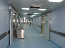 QIH Update May 2010