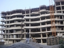 QIH Update November 2008