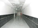 QIH Update November 2011