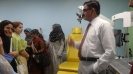 Seminar on Dysphagia_1