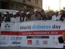 World Diabetes Day